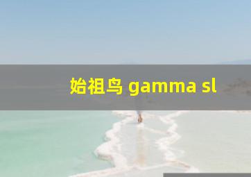 始祖鸟 gamma sl